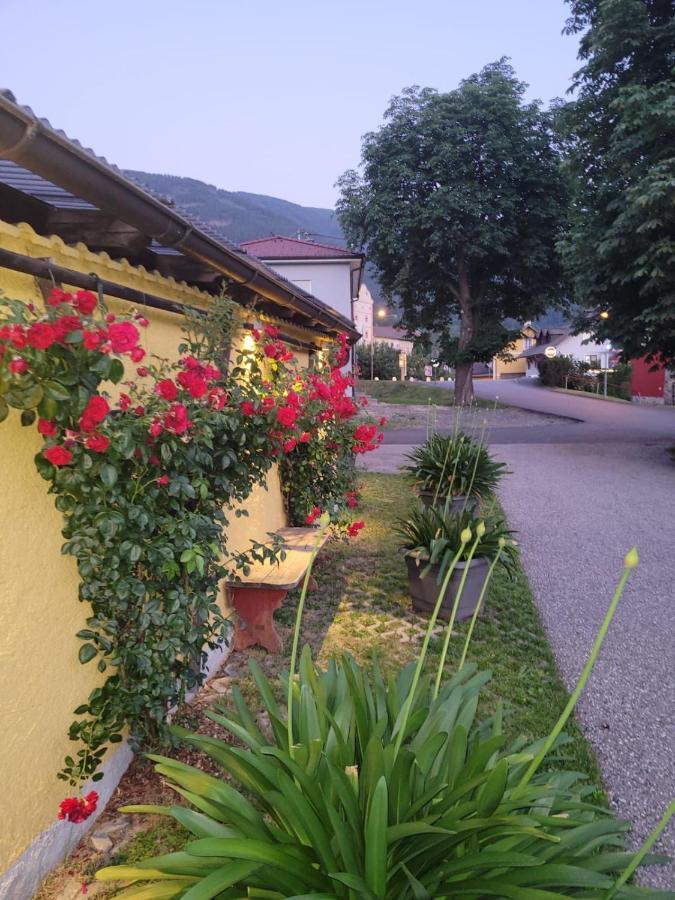 Pension & Ferienwohnung Dullnig Gmünd المظهر الخارجي الصورة